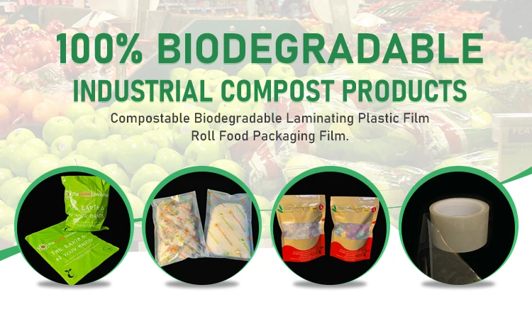 biodegradable04.jpg