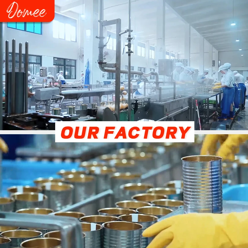 Wholesale Best Price Delicious Organic Canned Artichoke Hearts in Brine for Cooking