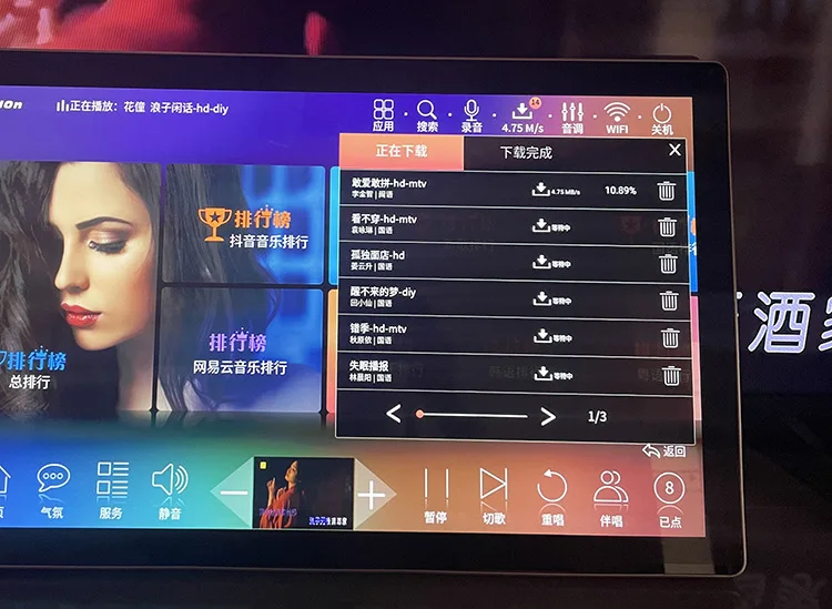 Multi-function All In One Wireless Microphone Karaoke Player