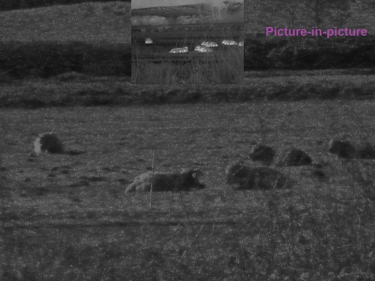 night vision goggles 9