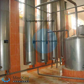 Meckey turnkey Lysine processing equipment with strain