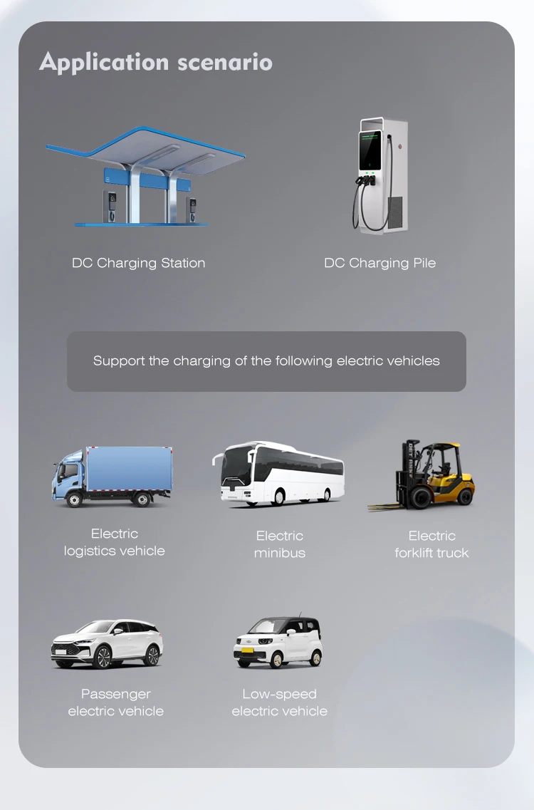 Specialized Manufacturing AC To DC  Fast Charger Module Rectifier Charging Module  30Kw Control