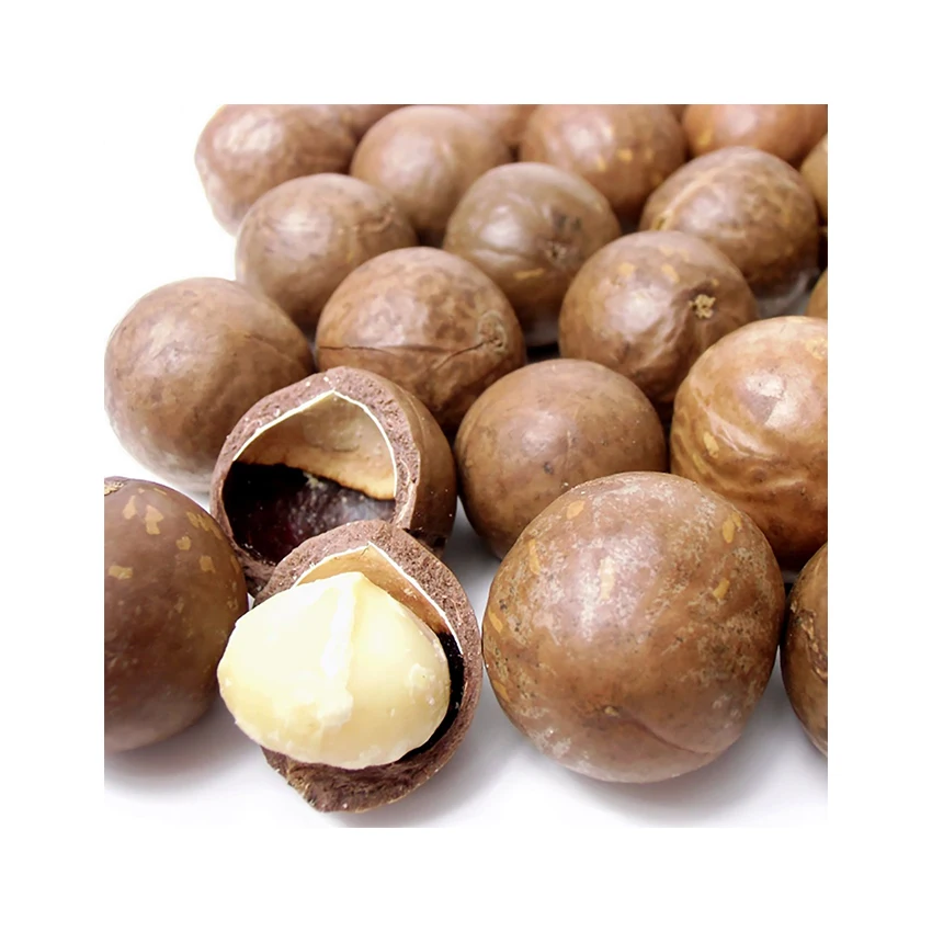 Organic Macadamia Nuts Macadamia Nuts with Best Quality and Delicious