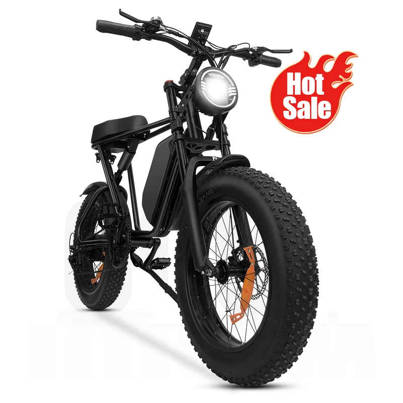 1000w Electric Motor Bike Double Disc Brake 50km/h For Students Trip Riding Electric Bike With 3 Models