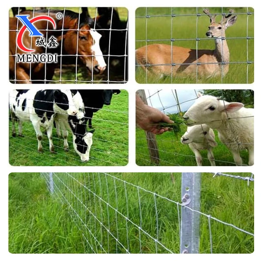 Best price Hot Galvanized Wire High Security Horse Deer Cattle Fence For Racecourse