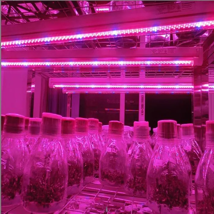 Flashsale  Official Partner Indoor Hydroponic uv ir 1000w cmh 800w Cob lm301H LM301B led Grow Light