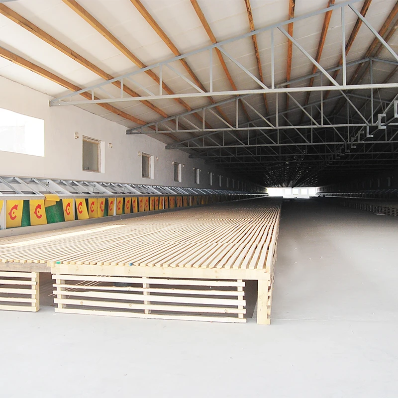 BOLONG Free range chicken egg collection equipment chicken coop chicken nesting box