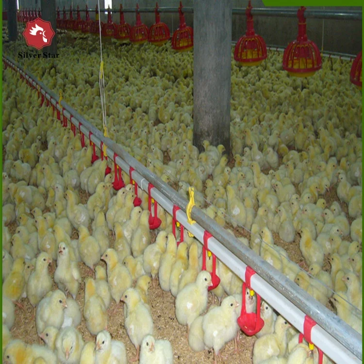 plastic floor system poultry farming broiler raising equipments