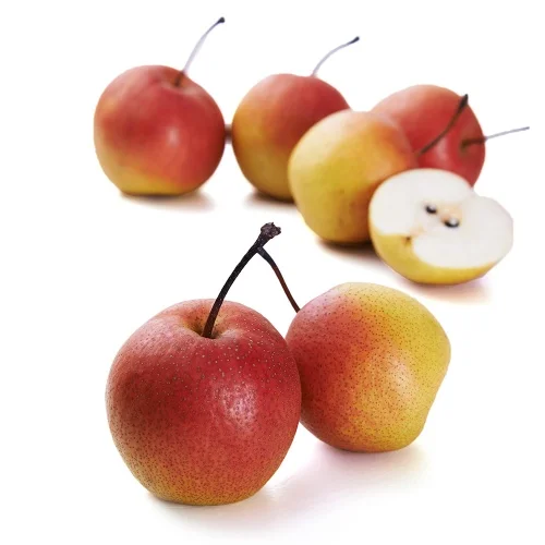 
 Оптовые фермы производят свежие красные груши без пестицидов  