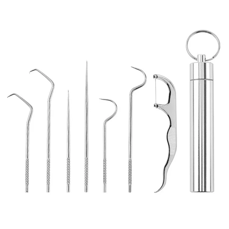 1 Set Toothpick Set Metal Stainless Steel Oral Cleaning Tooth Flossing Portable Toothpick