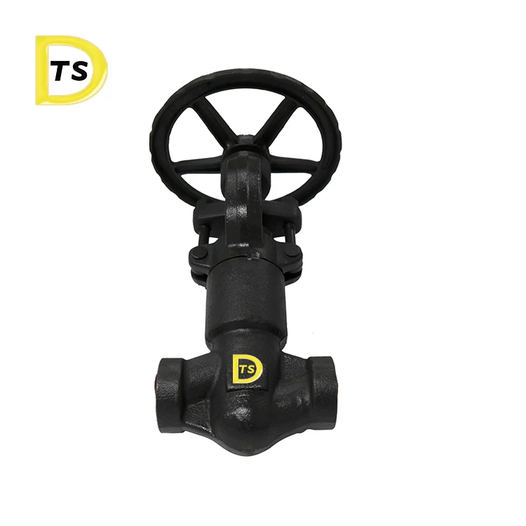 F304 F316 HOT Steam globe valve Bellow Seal Stainless Steel Forged Globe Valve