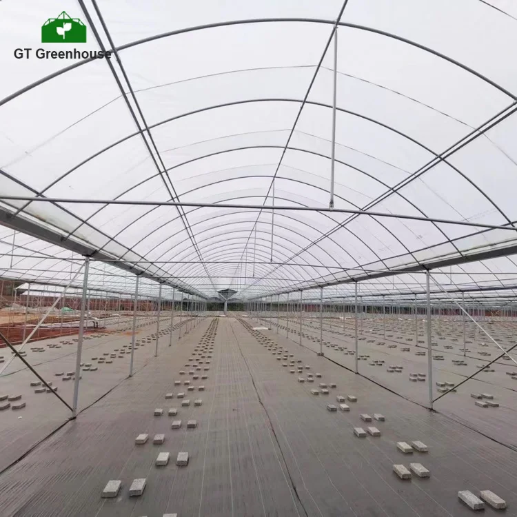 Agricultural product poly tunnel multi-span greenhouses with hydroponic growing system