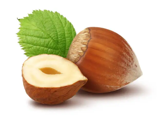 2021 Hot Sale hazelnut nuts spread hazelnut hazelnuts with best price