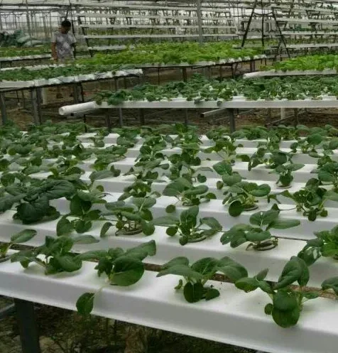 High quality and low price guarantee hydroponic PVC NFT channel for greenhouse hydroponic system from China