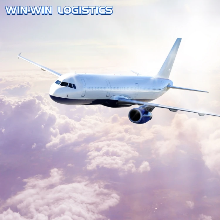 WINWIN company freight forwarder logistics service cargo rates FBA amazon shipping agent in from china DDP /DDU to USA UK CA