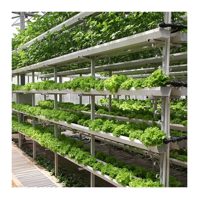 
Good price commercial hot galvanized steel frame hydroponic systems greenhouse 