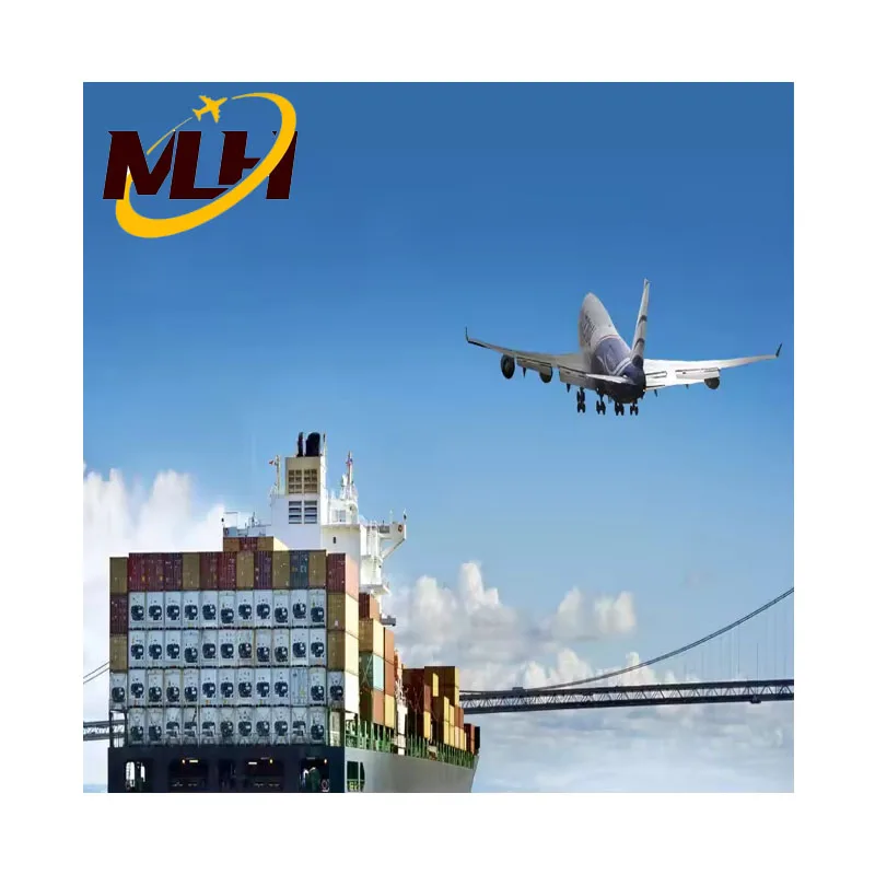 Sea shipping Logistics Agent Company 20FT 40FT Shipping From China To France