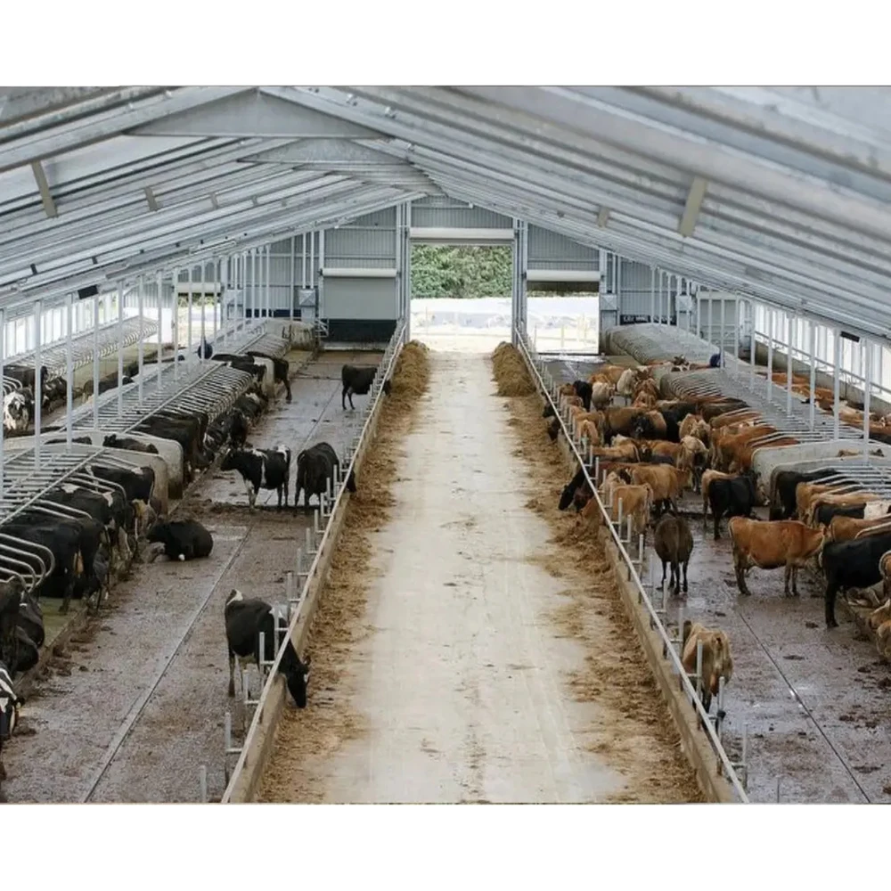 Современный дизайн стальная конструкция дом для козьего сельского хозяйства домашняя Молочная Ферма коров и крупного рогатого