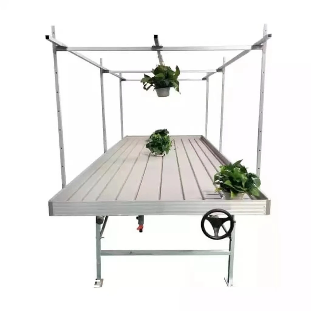Modern Agriculture Nursery Technology and Equipment of Seedbed