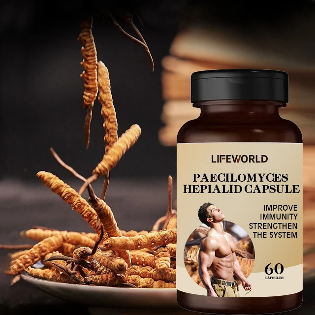 High Quality Super Men Fertility Tablet Male Natural Organic Herbs Pills Maca Sperm Increase Fertility Capsule
