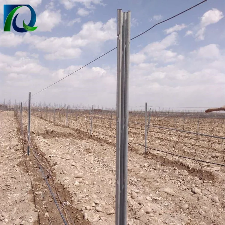 High quality vine plants vineyard grape stake/vineyard grape metal trellis post For sale