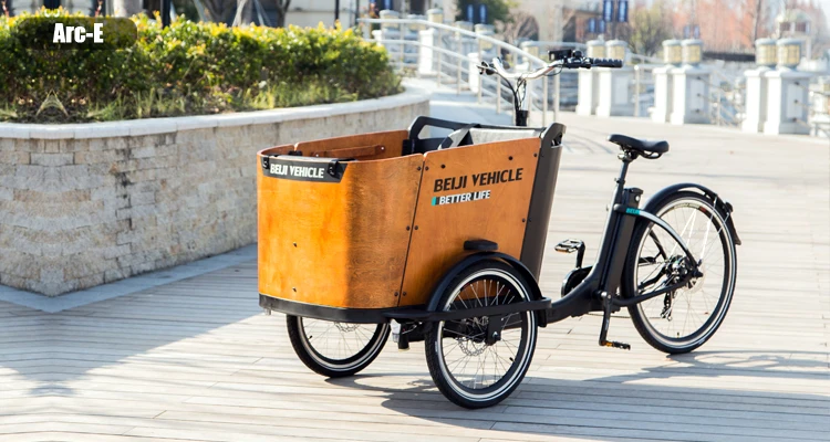 Free Tariff Heavy Duty Front Cabin Electric Cargo Tricycle Price Carry Kids Family Cargo Bike