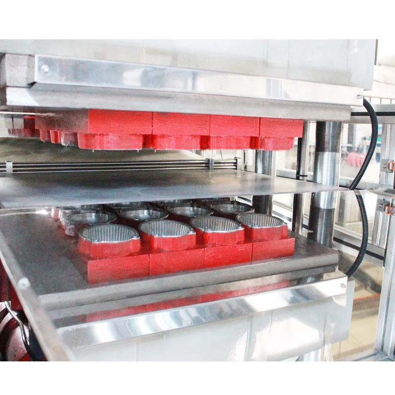 DB-54/76 Full automatic 1-Compartment Clear OPS Plastic Cupcake Container thermoforming machine