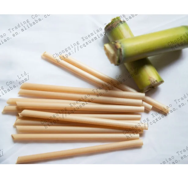 plastic free 100% compostable eco friendly biodegradable drink PLA free sugarcane fiber straw