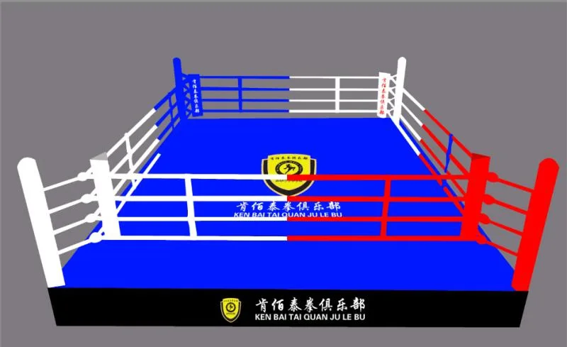 Customer size Commercial gym equipment mma Boxing ring Boxing cage Wresting Ring