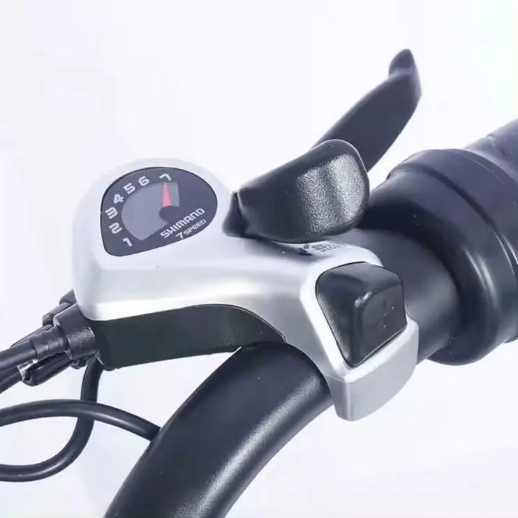 Two seat EU electric fatbike city fat tire electric motor elrctric bike cycles V20 Pro e-bike 250W