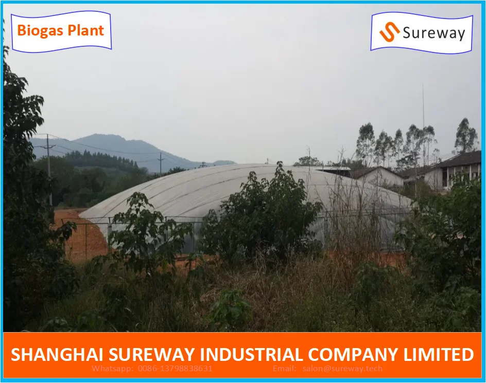 Anaerobic Lagoon Biogas Plant by HDPE Geo-Membrane