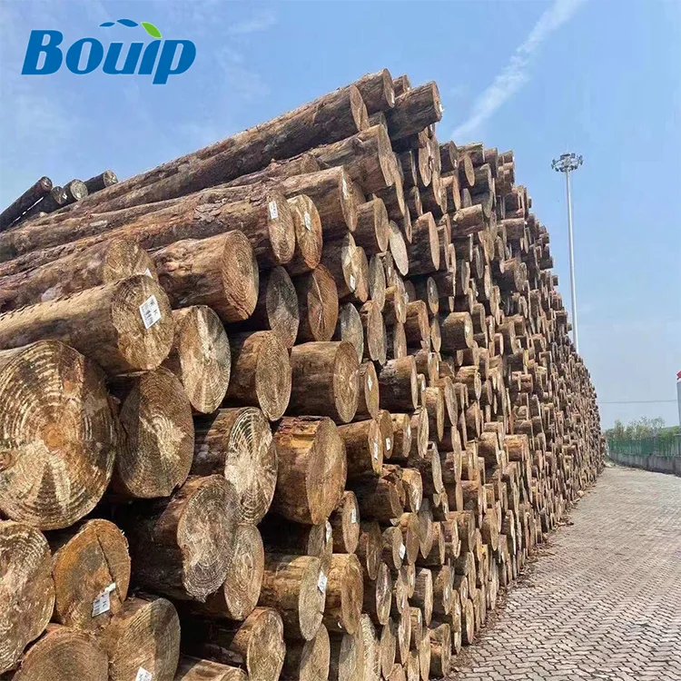 China Factory Cheap Price AA Grade 4x8ft OSB 3 12mm For Construction And Furniture