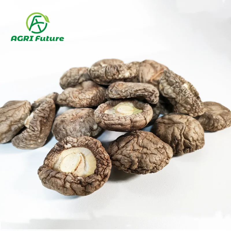 Оптовая продажа сушеных белых цветочных грибов/сушеных грибов Shiitake/горячая Распродажа сушеных грибов