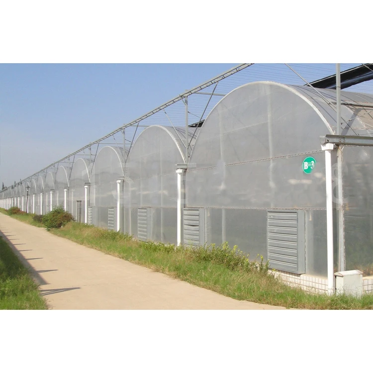 Multi Span Plastic Film Hydroponic Systems Greenhouse Agriculturmulti Span Pe Plastic Film Hydroponic Systems Greenhouse