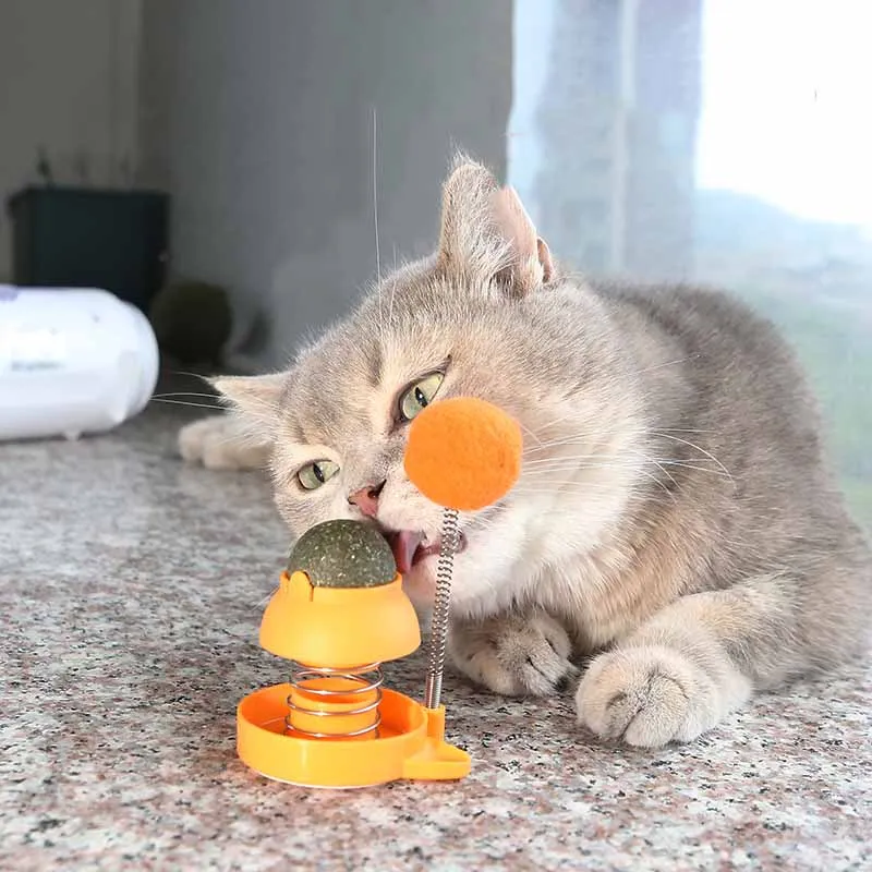 Catnip Ball Clean Mouth Fresh Breath Rotating 360 Rotatable Catnip Ball Mint Pet Cat Toys