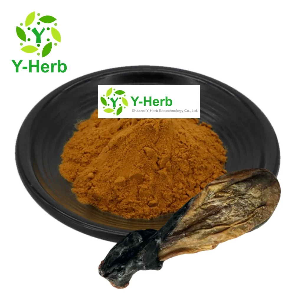 Factory Price 100% Natural Ox-Gall Extract Taurocholic Acid Cholic Acid 45% Bovine Bile Gall/Niu Dan/Ox Gallbladder Powder