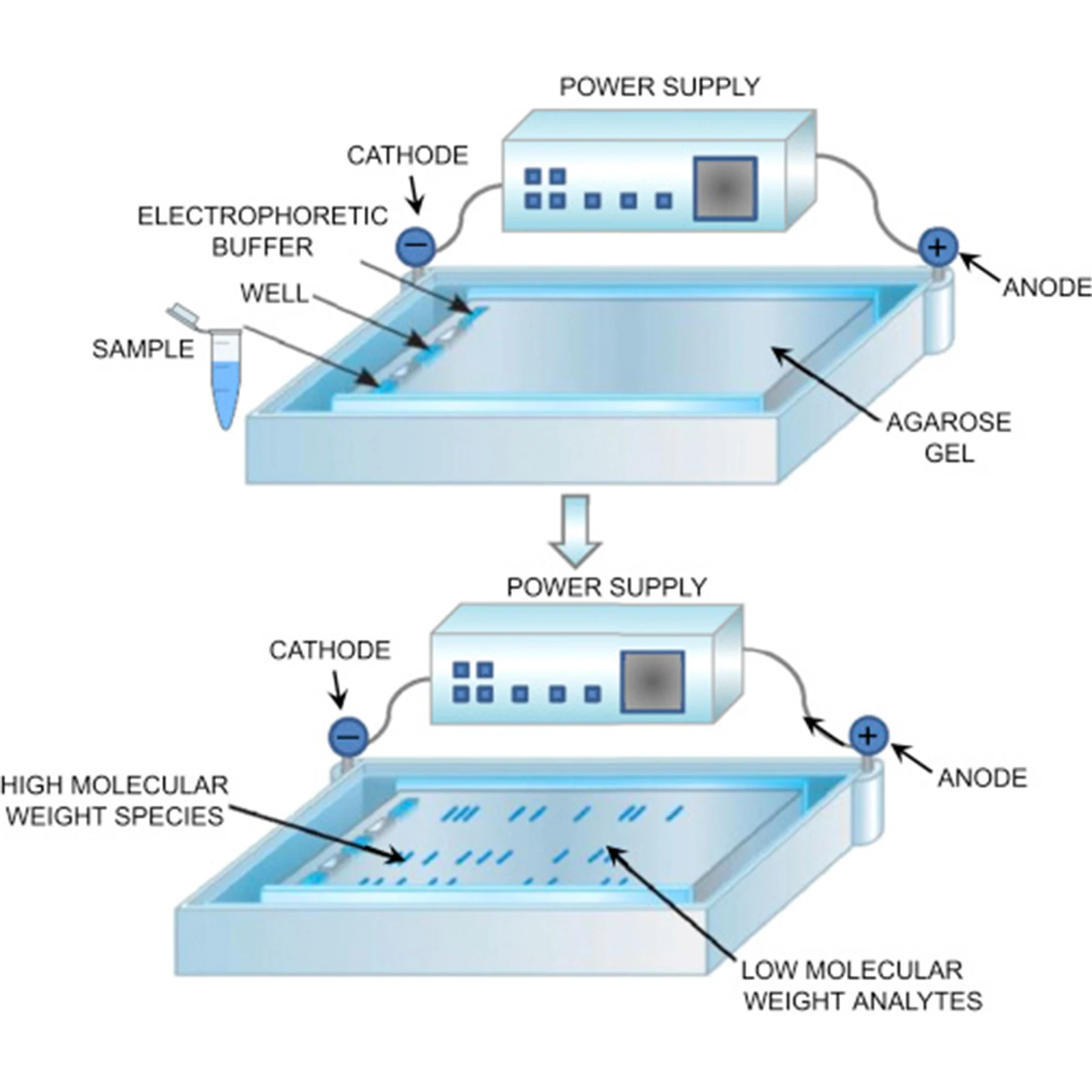 Starlighter agarose gel tablets nta agarose resin dna agarose gel electrophoresis machine