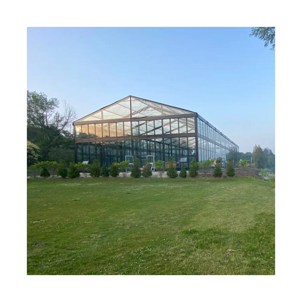 Large Structure Outdoor  Exhibition Marquee stretch tents for party