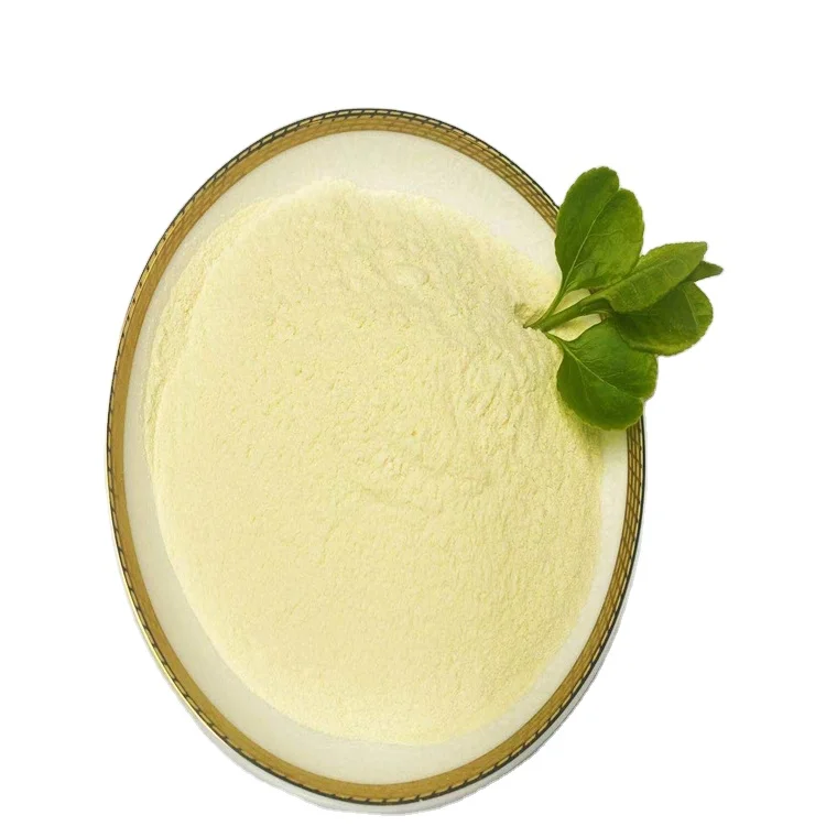 China OEM Health Supplement Probiotics Manufacturer Lactobacillus Casei