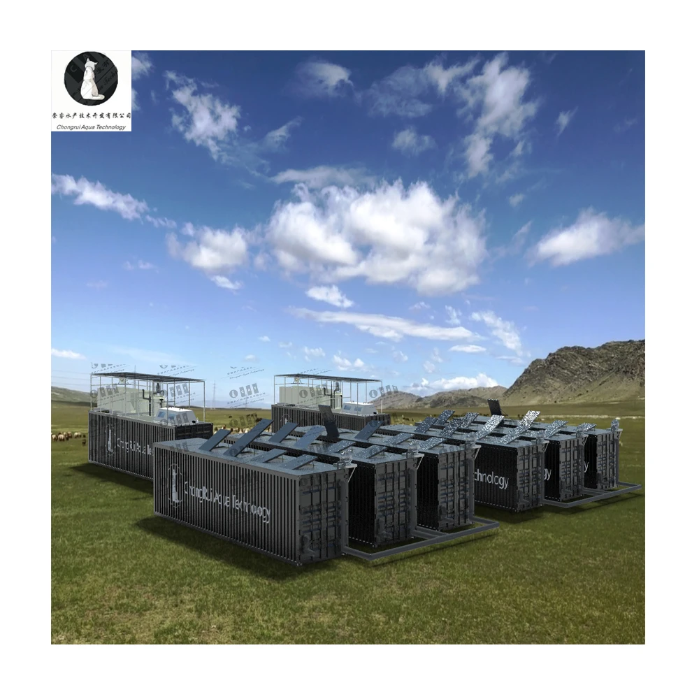 Greenhouse Growing System Commercial Industrial Shipping Container Farm with Ras