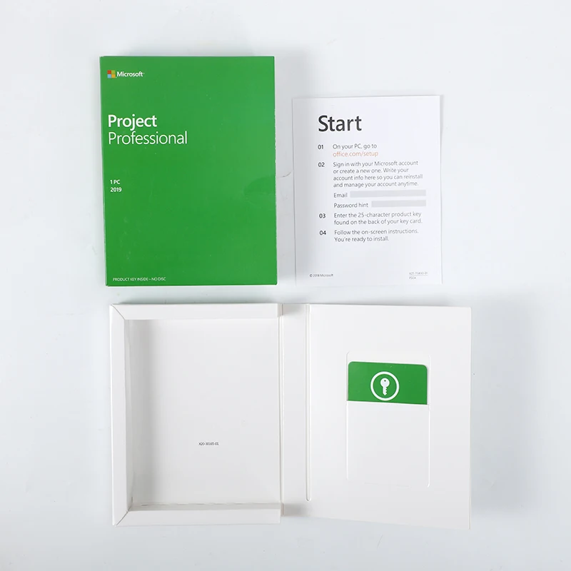 2019 project professional PC подлинный цифровой лицензионный ключ отправляется по электронной почте