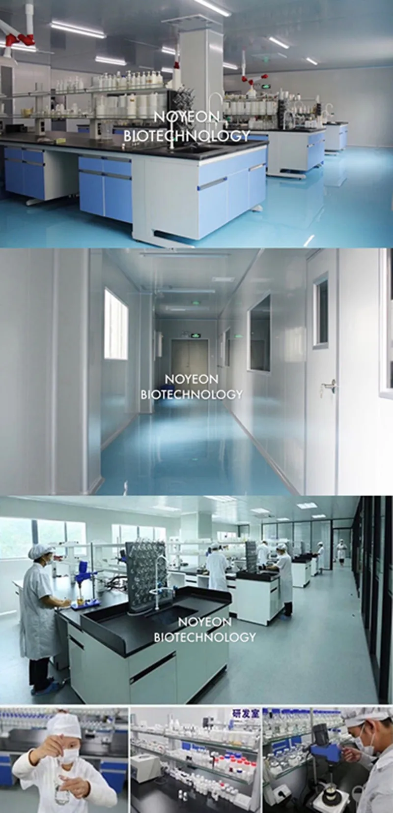 company information noyeon.jpg