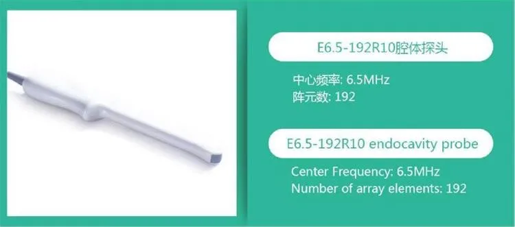 4C-RS / 3S-RS E8C-RS 8L-RS GE совместим с LOGIQ e все разъемы TYCO