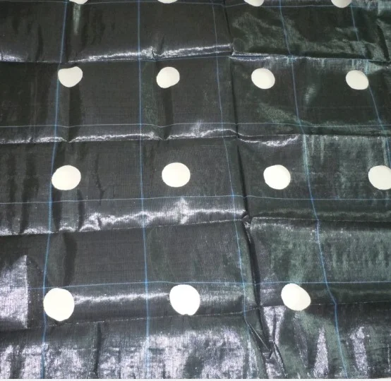BSCI factory PP/PE woven weed Prevent mat Agriculture weed control landscape fabric