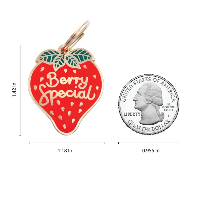 Custom Design Blank Back Berry Special Pet ID Tag Puppy Tag