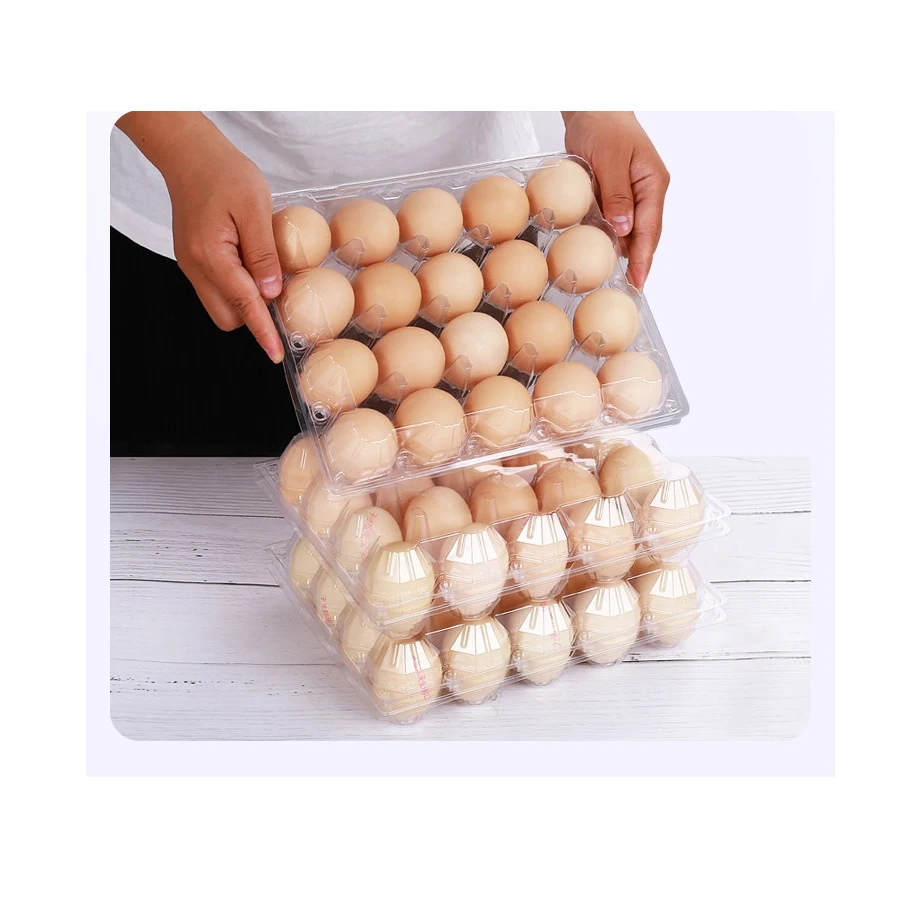 Одноразовый одноразовый пластиковый вакуумный термоформовочный лоток для яиц с 12 отверстиями
