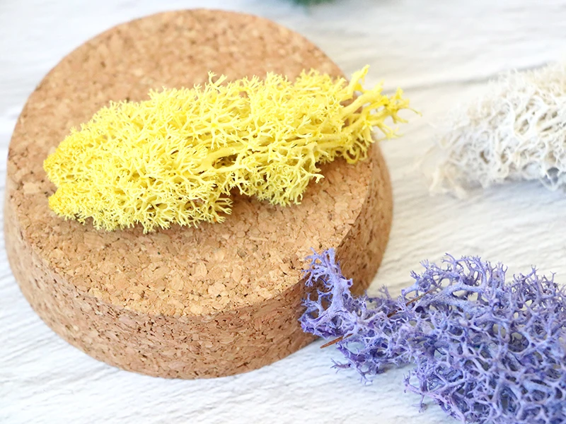 China DIY Material natural plants reindeer moss stabilized dried preserved sphagnum moss