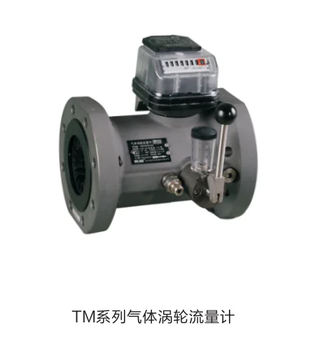 TM Series turbine gas meter