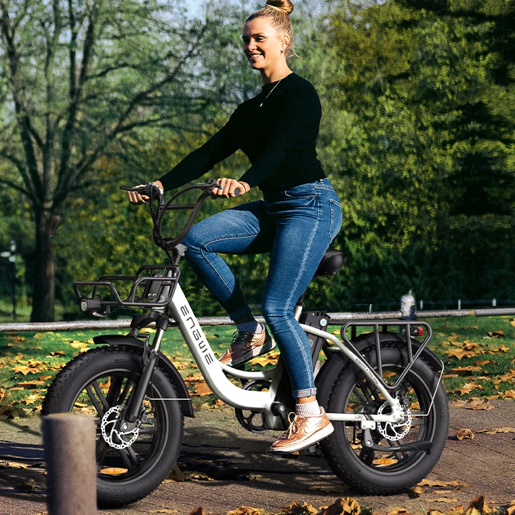 ENGWE L20 EU Warehouse Electric Bike 20inch Fat Tire 250W Electric Motor Bike Electric City bike for Men and Women