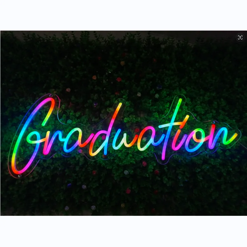 Neon Sign RGBIC Neon letter sign change color form Factor with control remote LED Neon Signs Beer Bar Club